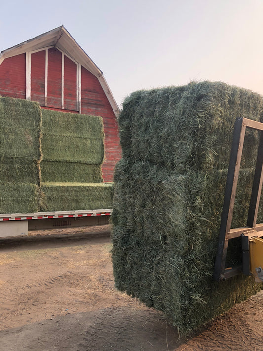 Second Cutting Grass Mix